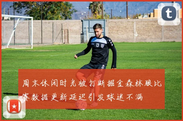 周末休闲时光被打断掘金森林狼比赛数据更新延迟引发球迷不满