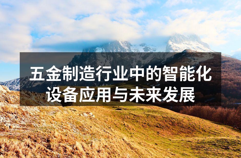 五金制造行业中的智能化设备应用与未来发展