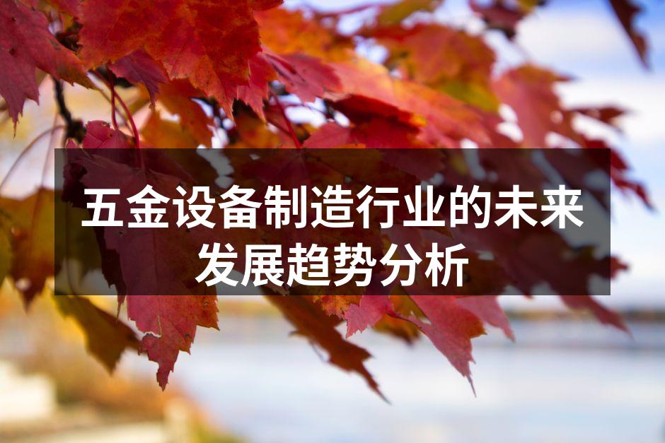 五金设备制造行业的未来发展趋势分析